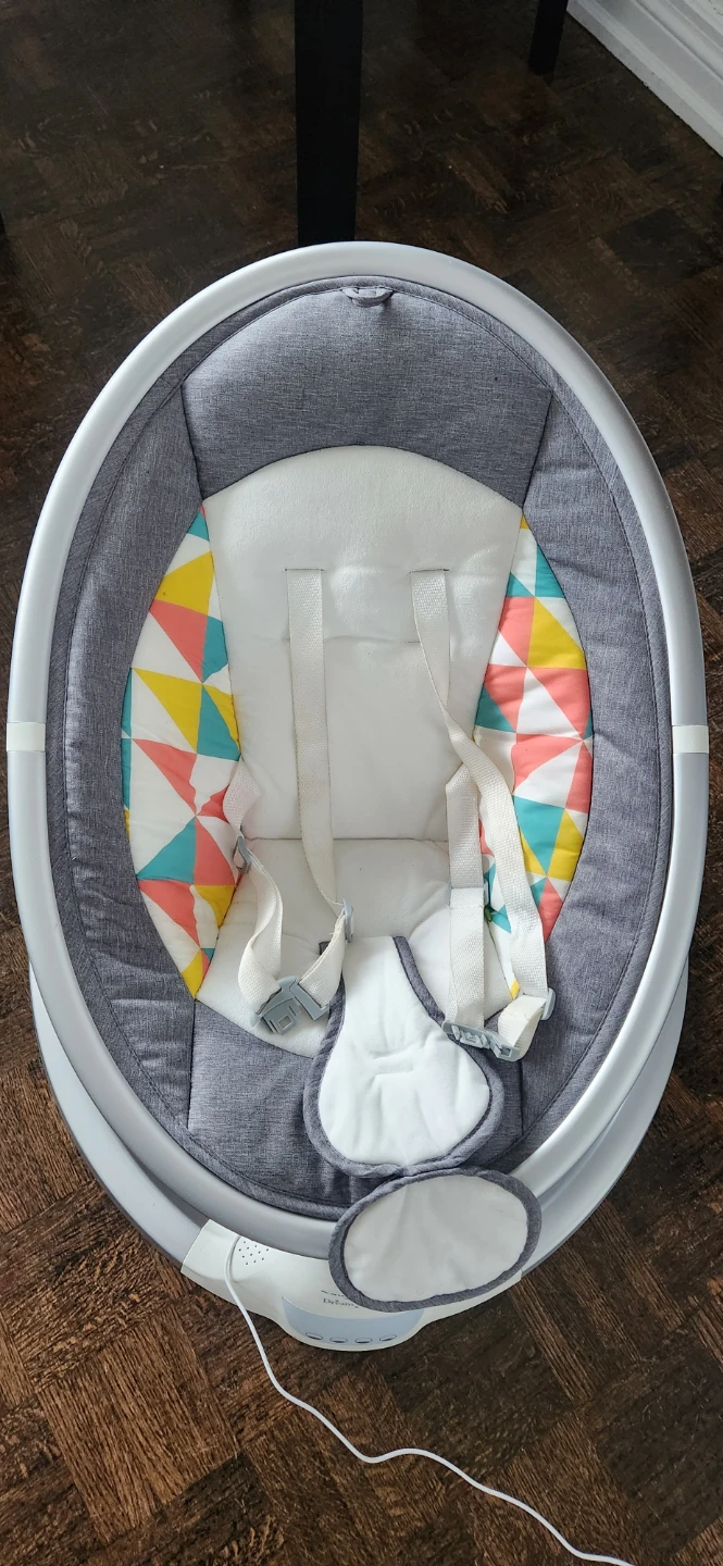 Ingenuity Baby Swing - photo 3