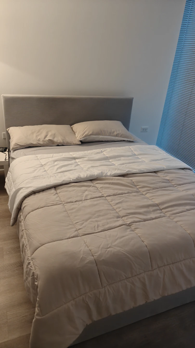 IKEA GLADSTAD Upholsted queen size bed with Ikea Mattress