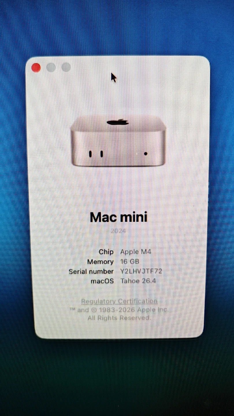 Apple Mac mini M4 16 GB RAM - photo 4