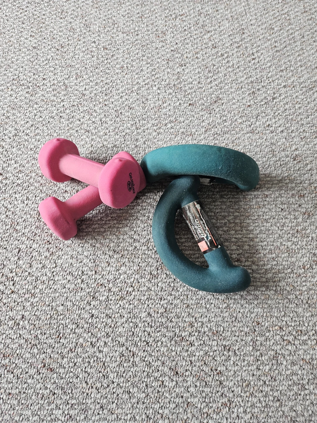 Gold's Gym Dumbbells (Pair)