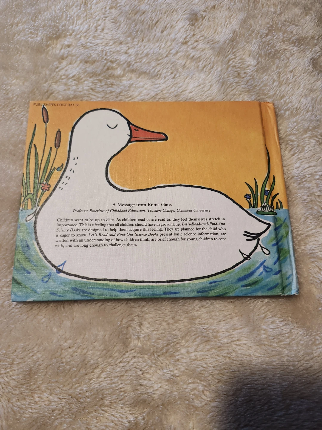 Ducks Don't Get Wet: A Let's-Read-and-Find-Out Science Book - photo 2