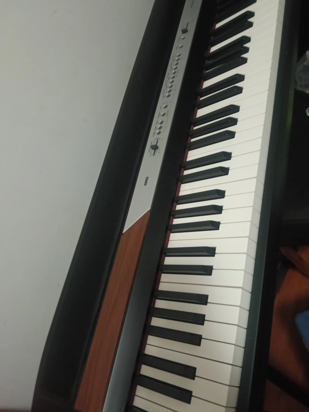 Korg Digital Piano