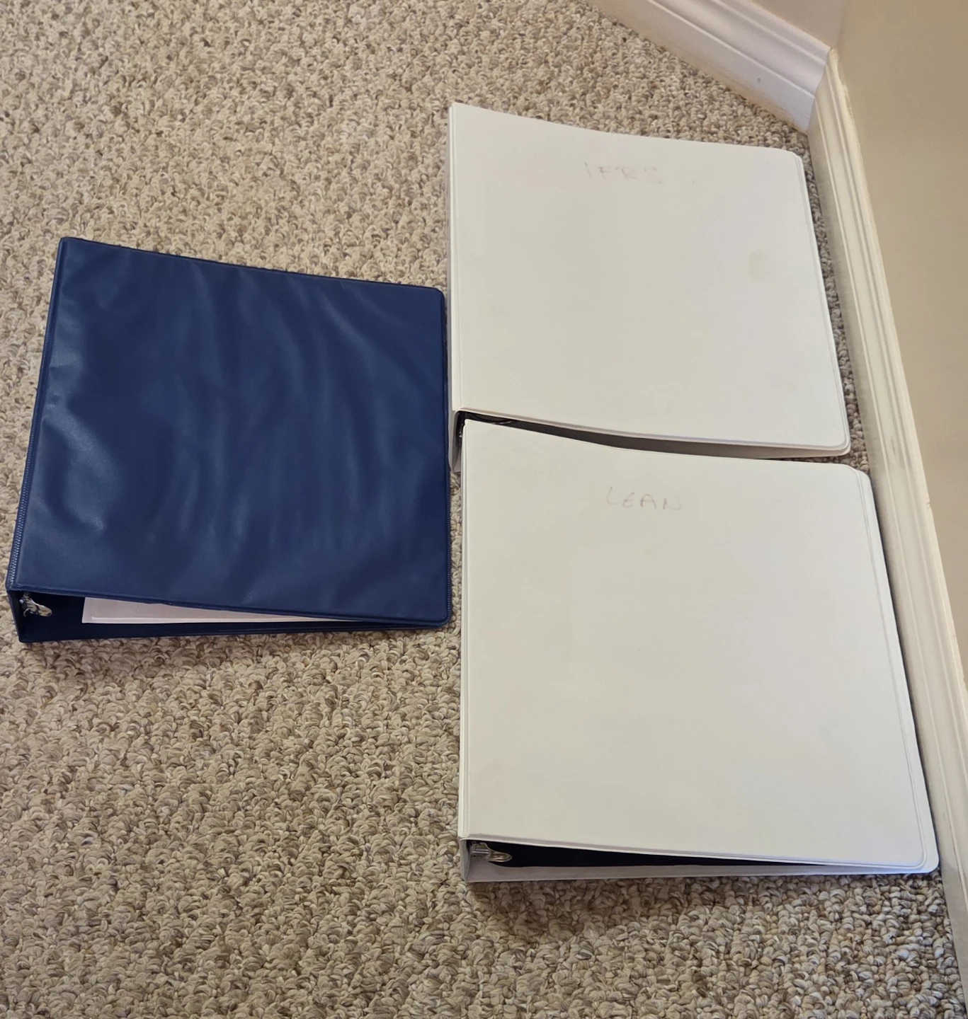 3 Ring Binders (Blue and White)