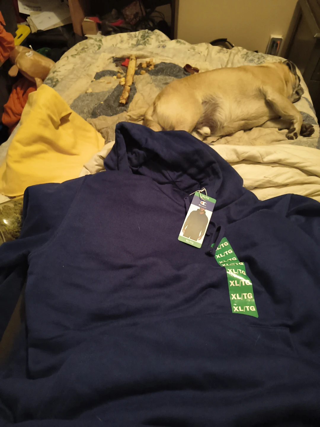 Champion Navy Blue Hoodie XL/TG