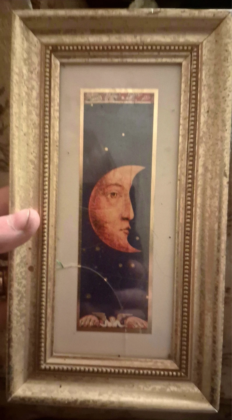 FREE 🥕   Framed Celestial Art Print