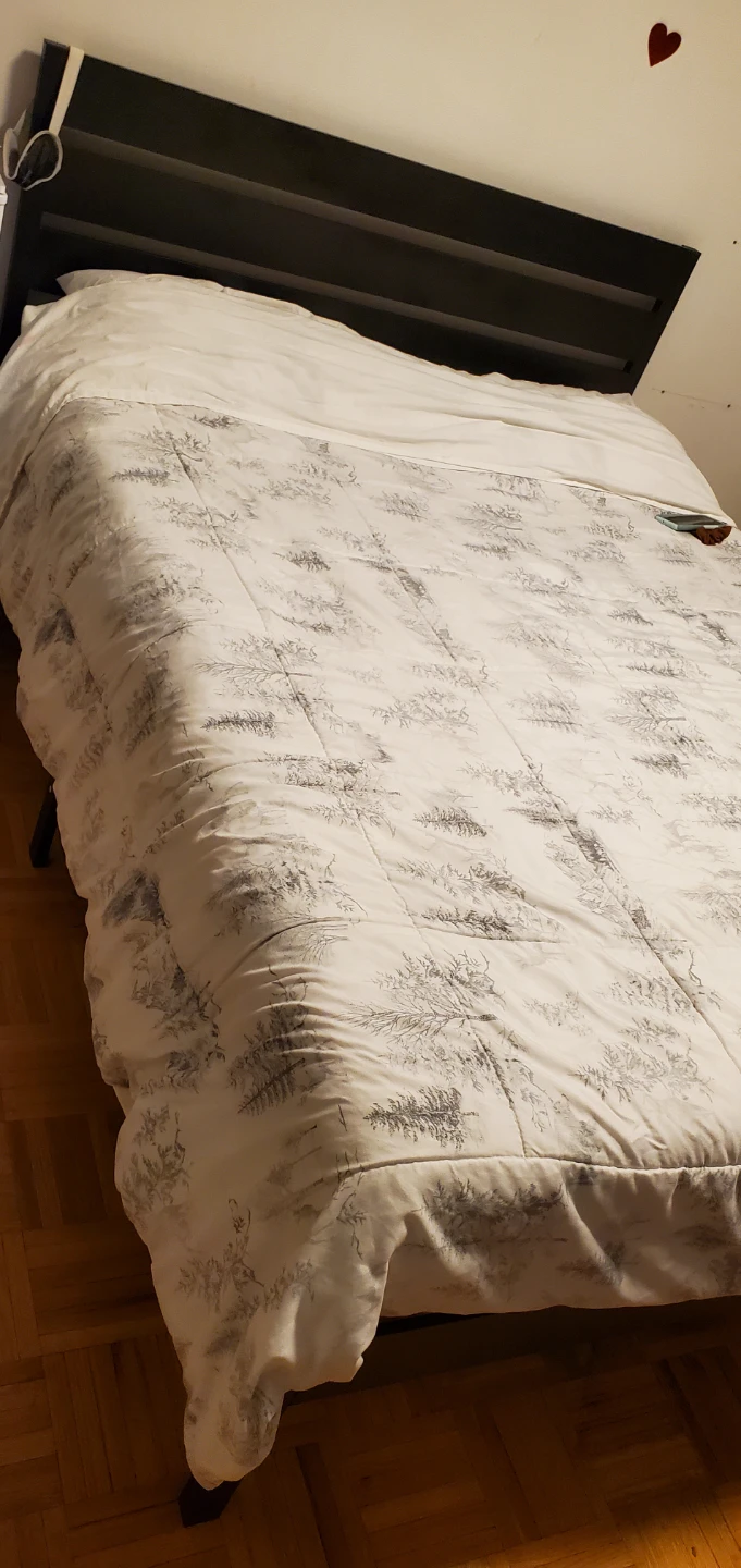 Queen Bed Frame with Headboard $50