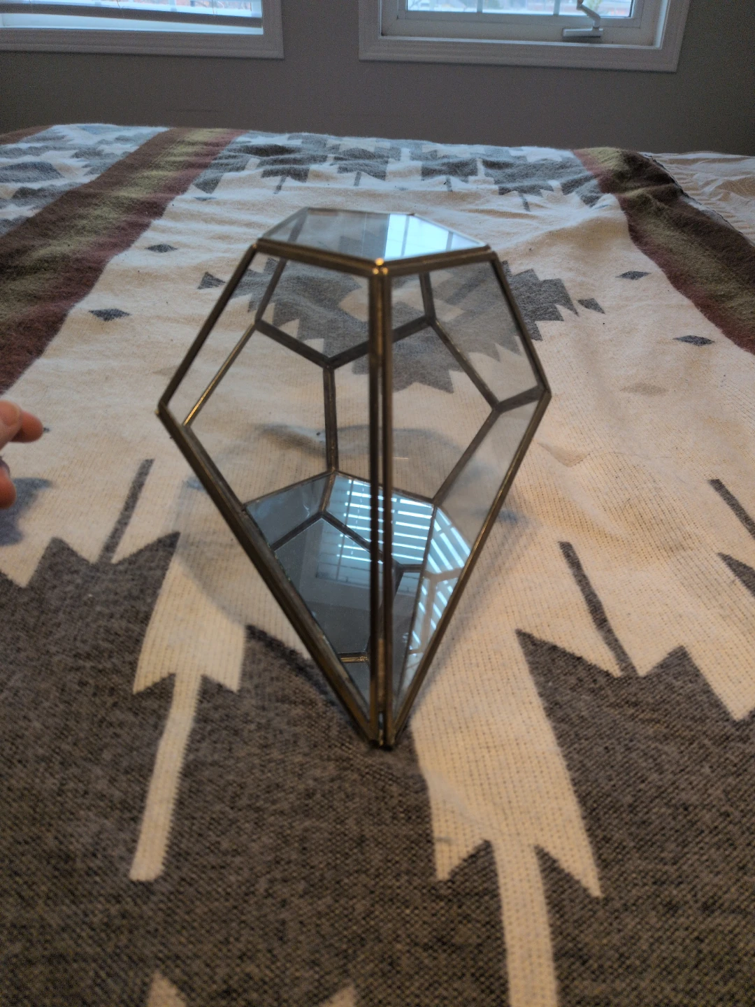 🥕 Geometric Glass Terrarium - photo 2