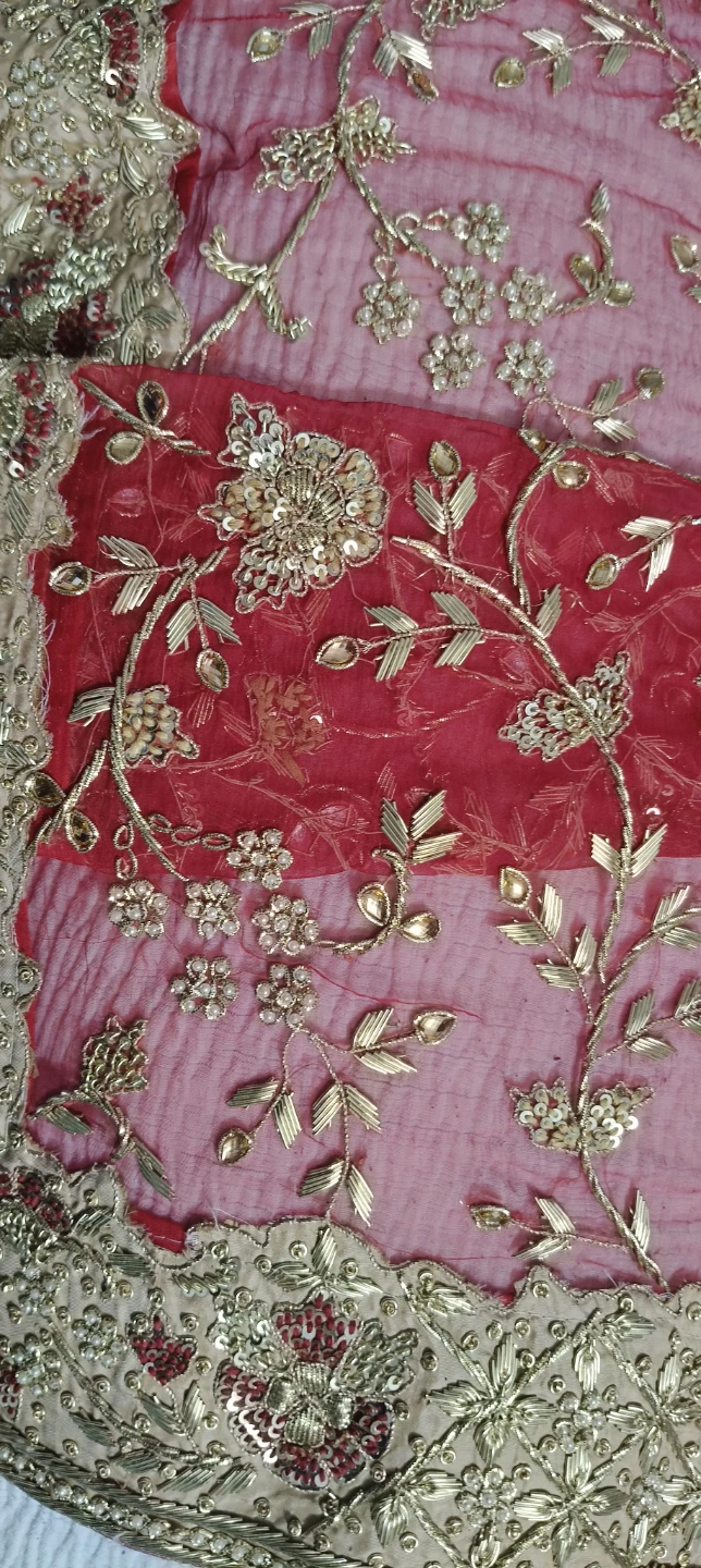 Luxury Indian/Pakistani Bridal Gharara – Heavy Dabka Work - photo 5