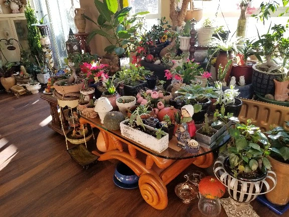 Big gradge sale. Moving - photo 3