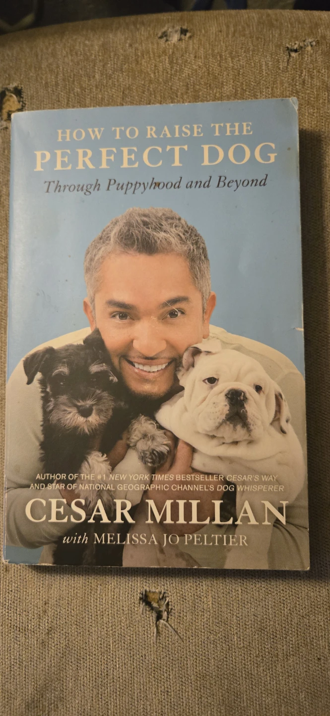 Cesar Milan dog training book