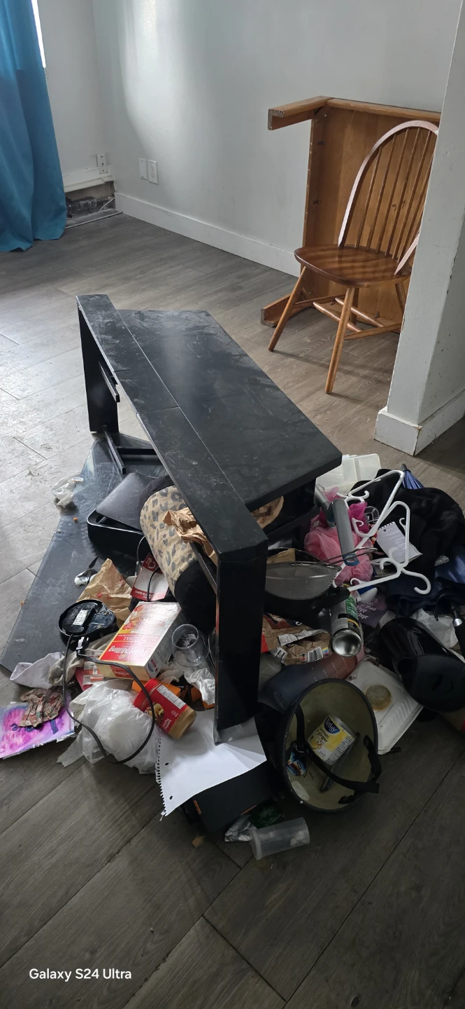 Junk Removal and Demo - photo 5