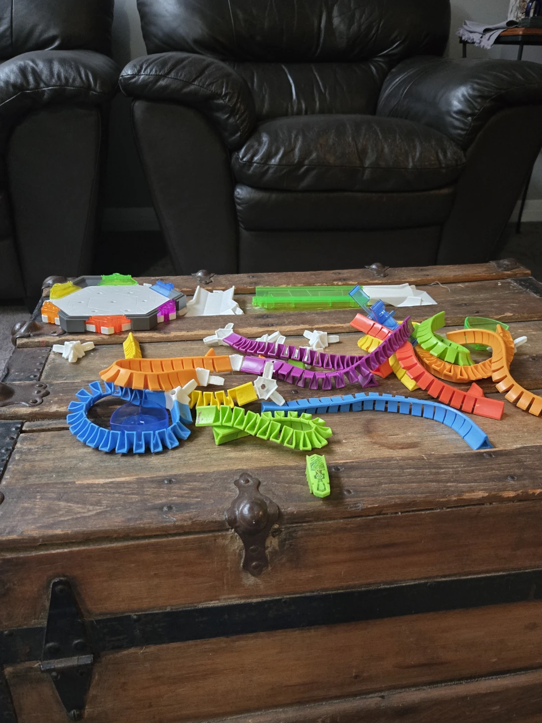 Hexbugs 🥕