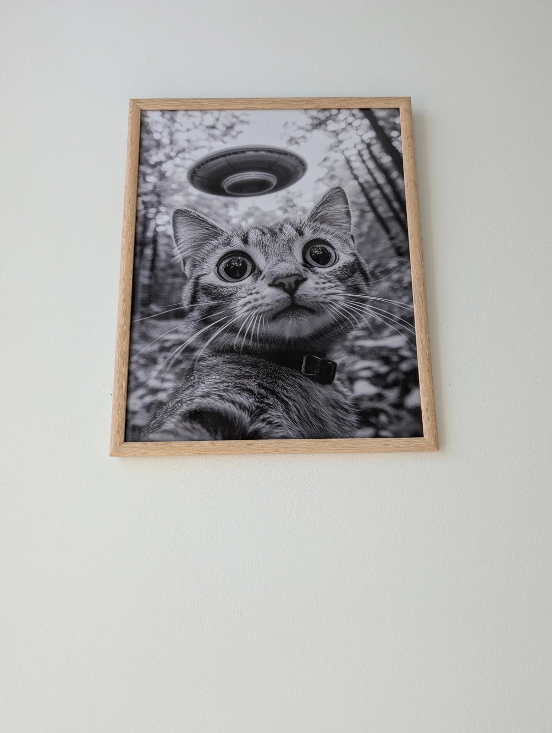 Framed Cat and UFO Art Print 36x29cm
