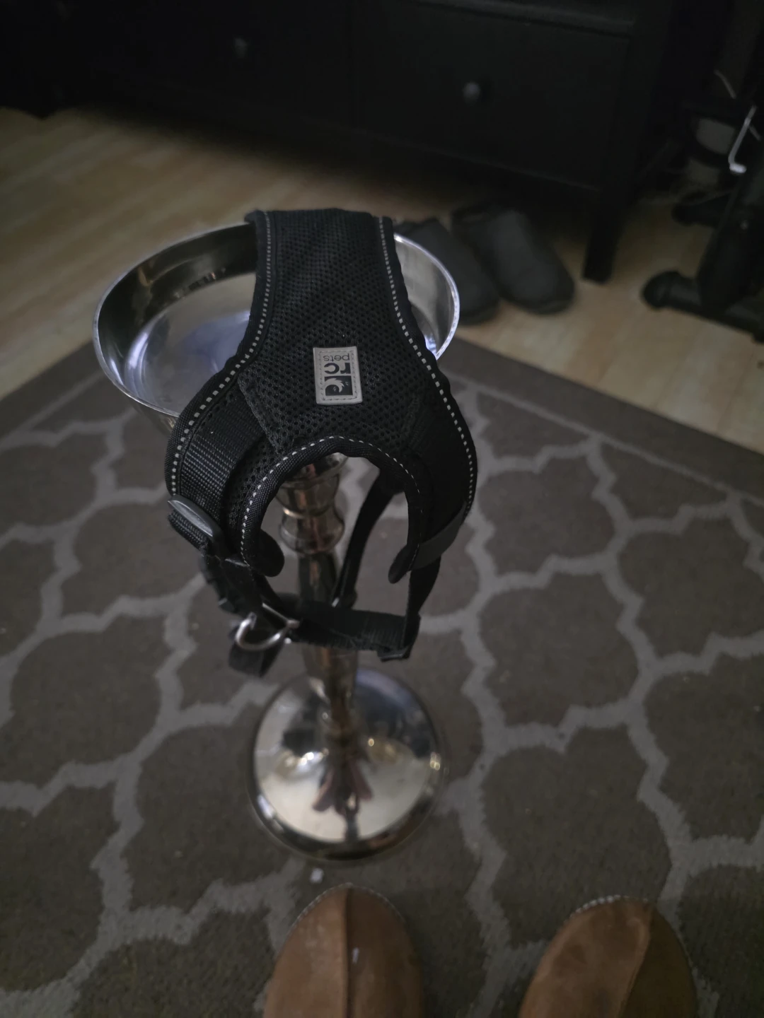 Black Dog Harness medium
