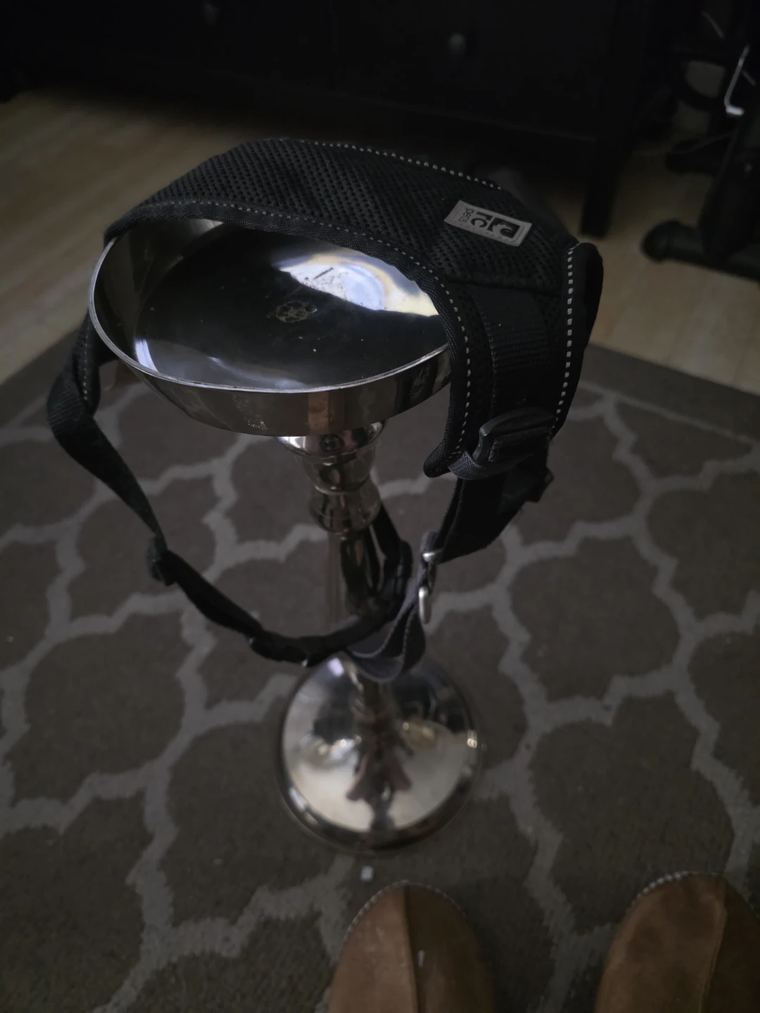 Black Dog Harness medium - photo 2