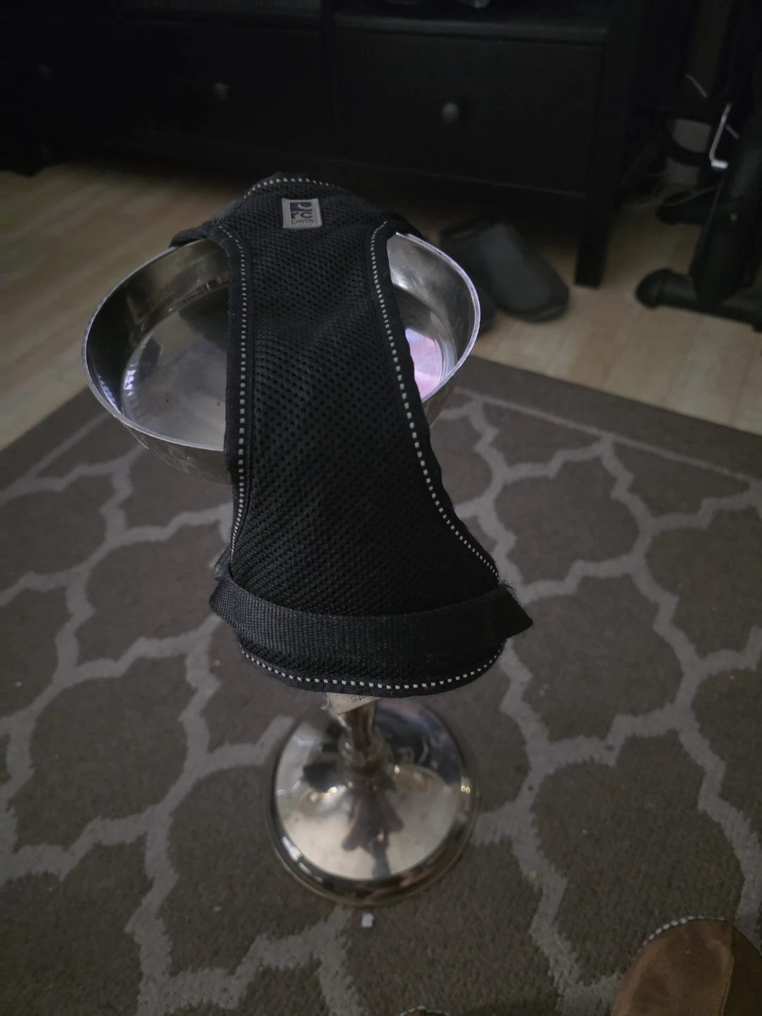 Black Dog Harness medium - photo 3