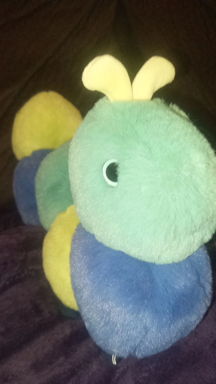 Douglas 11inch  Plush Caterpillar