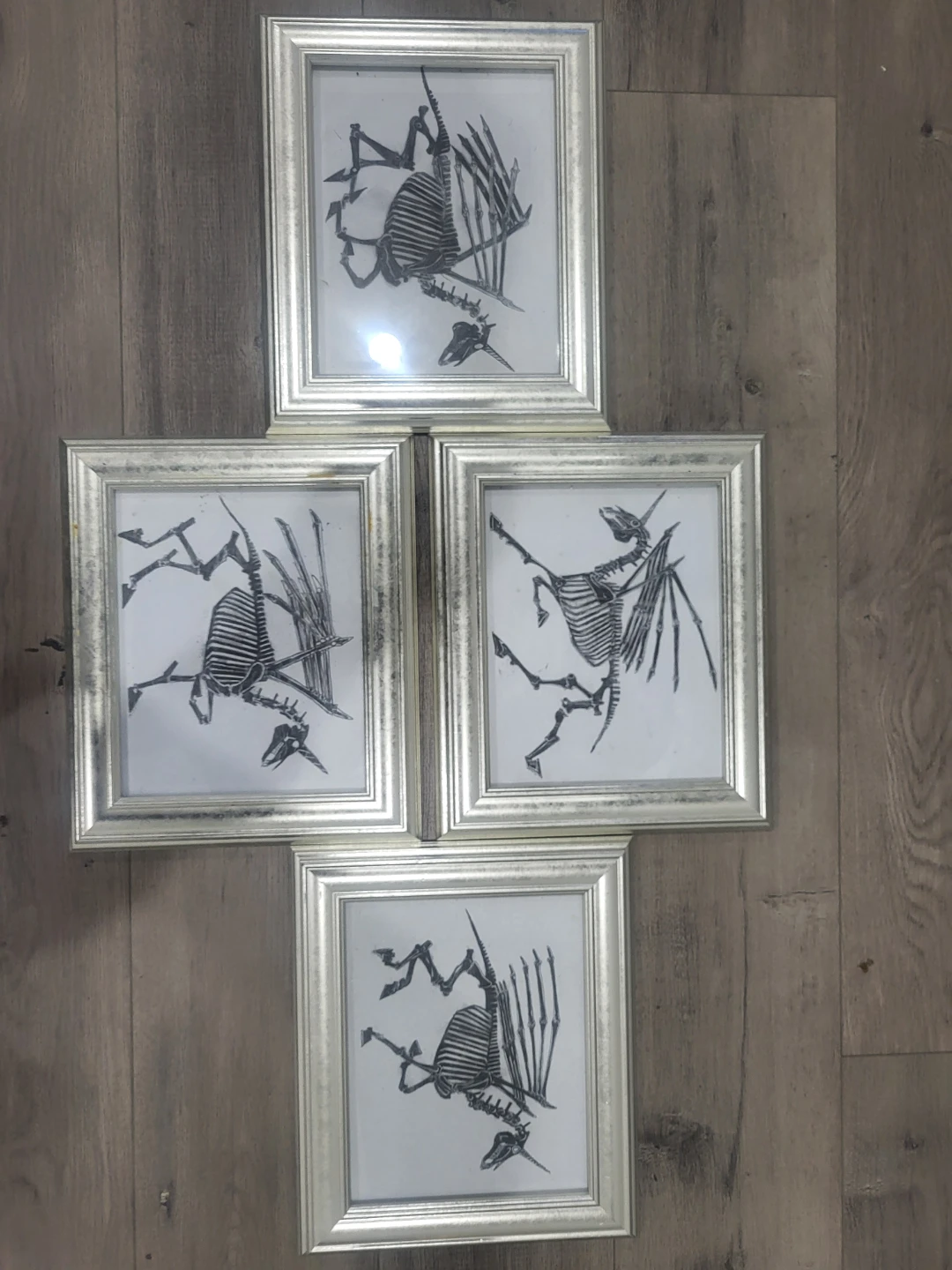 Set of 4 Framed Skeleton Art Prints