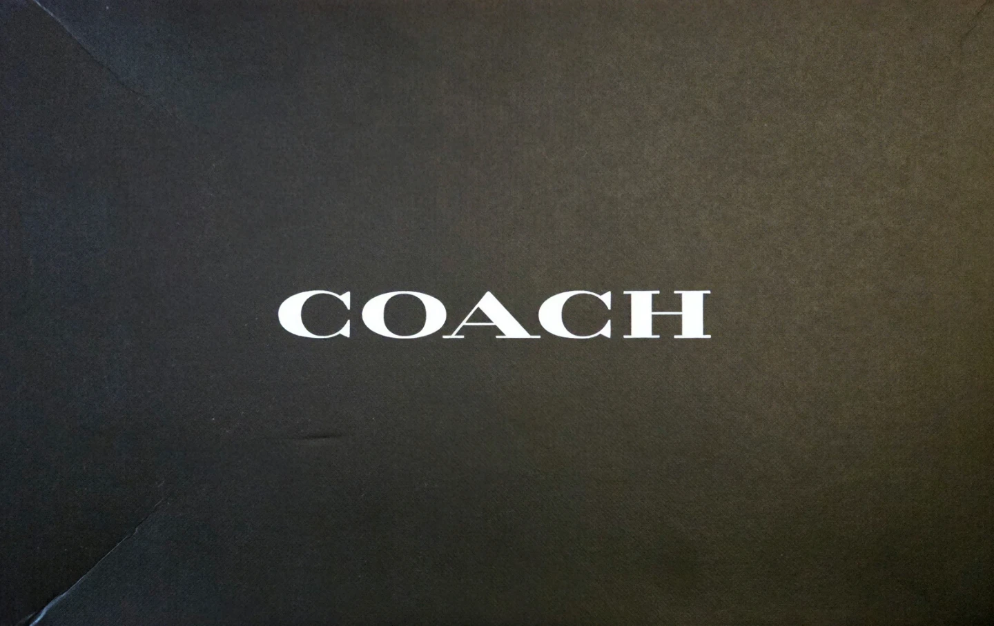 Coach LNDN LTHR DRVR Loafers Mahogany US 11 - photo 3