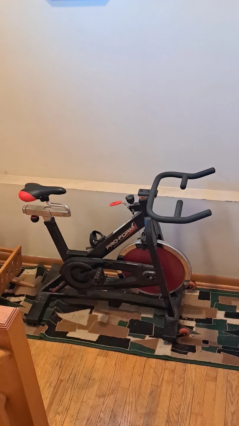 Pro-Form Spin Bike - photo 2
