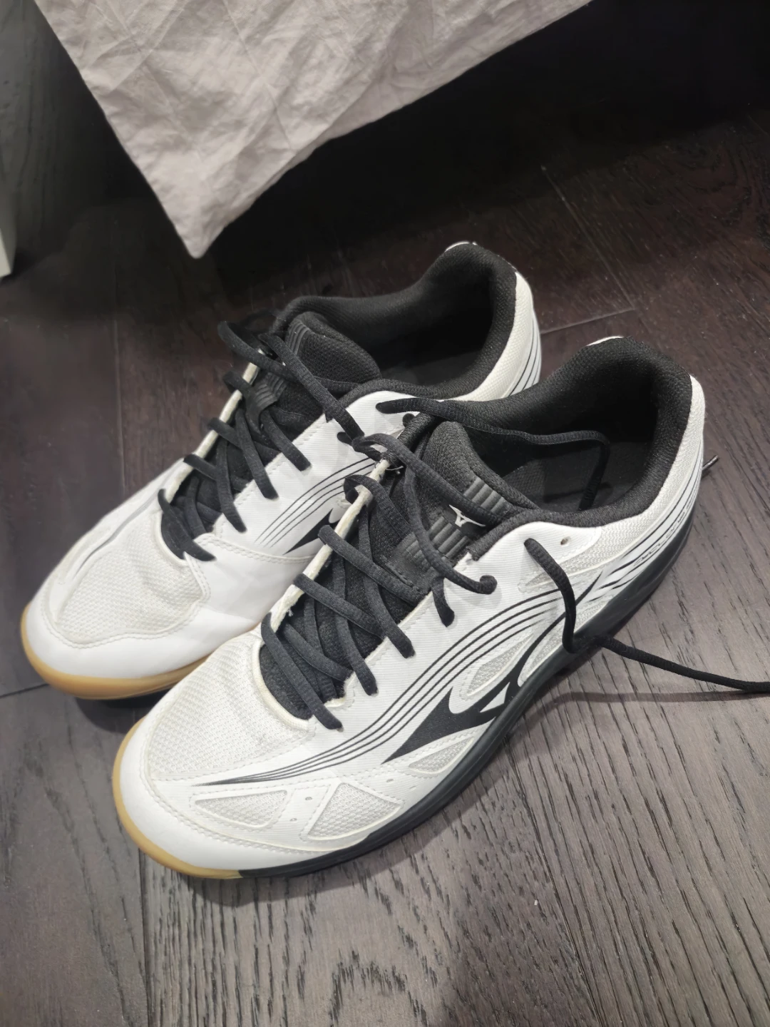 Mizuno Cyclone Speed 3