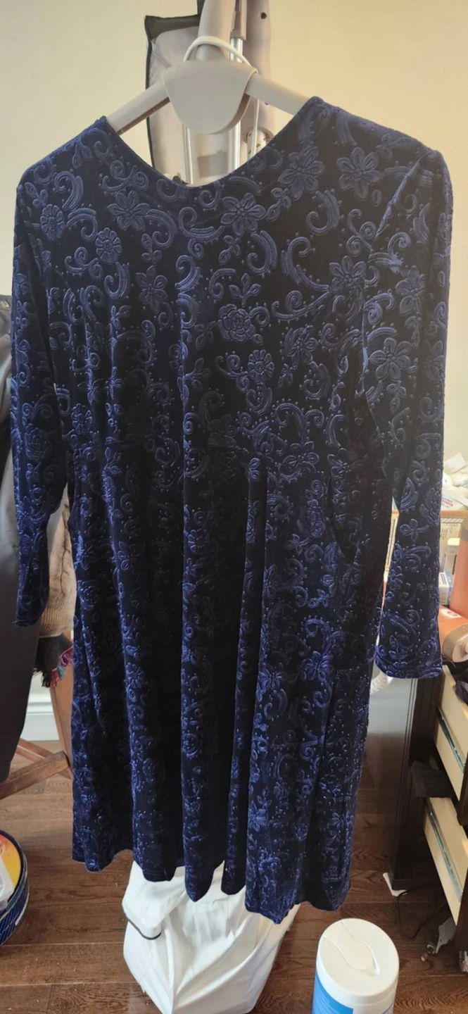 Velvet Burnout Dress.