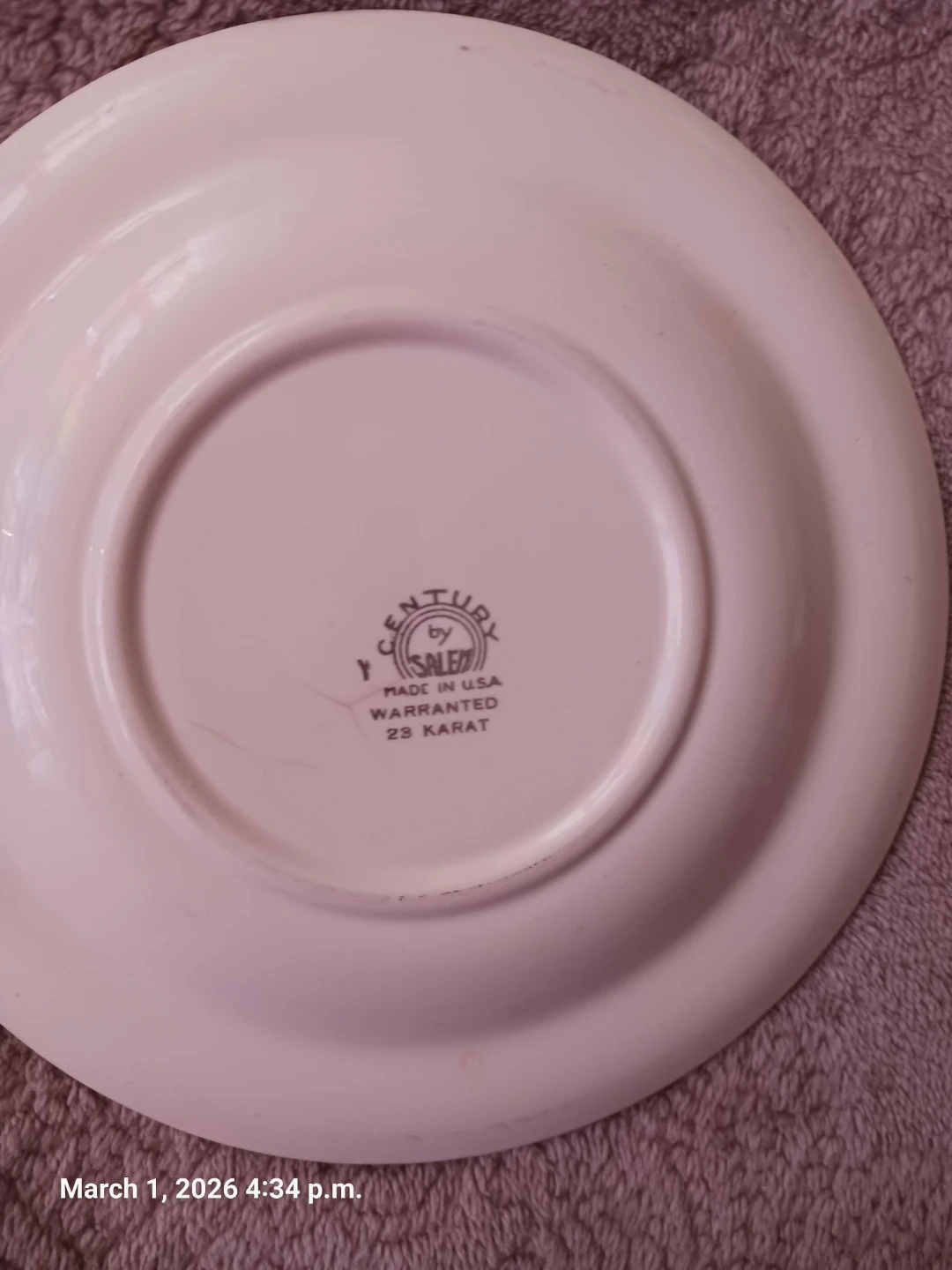 John Maddock & Sons "Fairy Rose" Vitrified Plate - photo 4