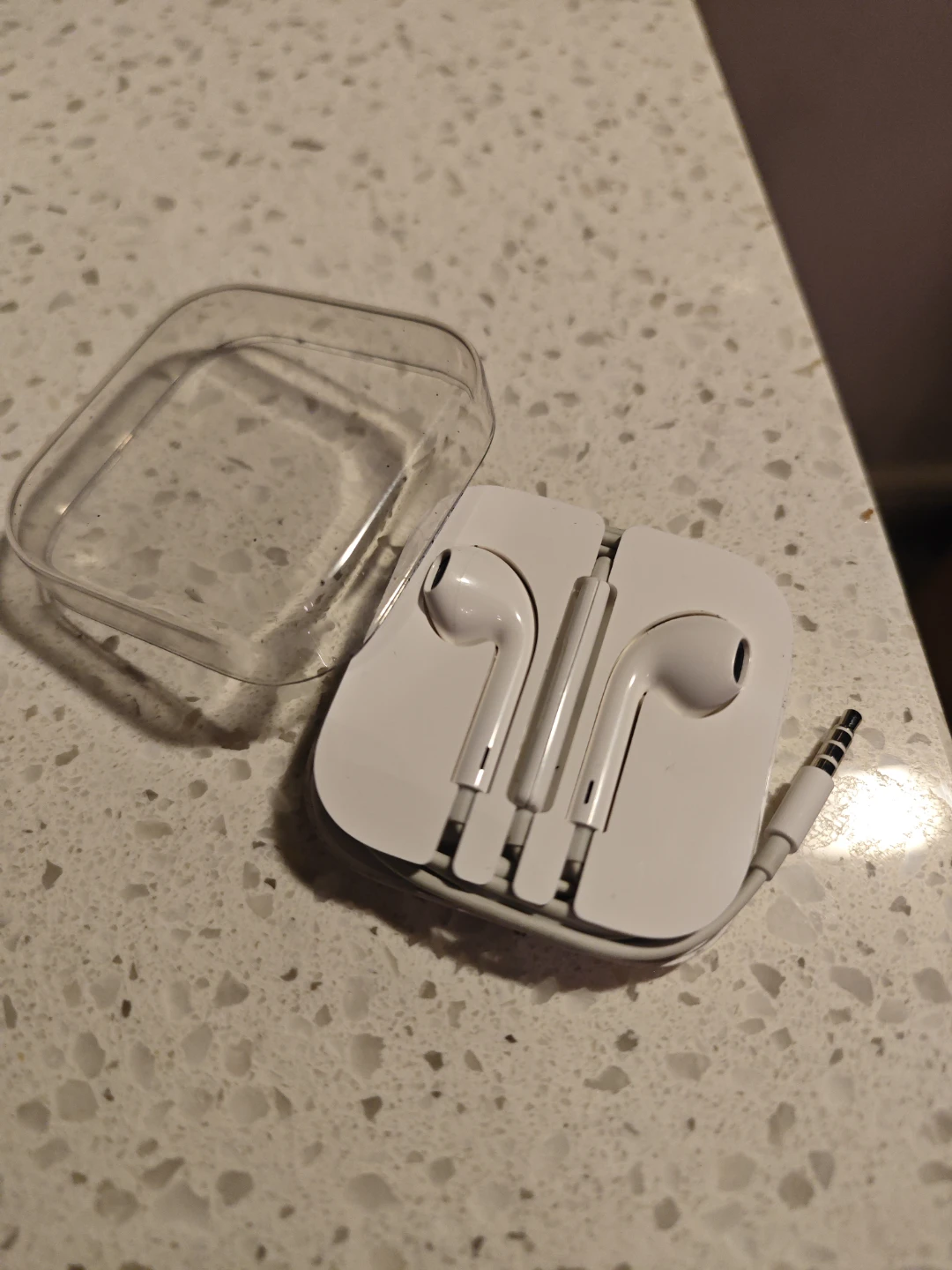 Apple EarPods with Case