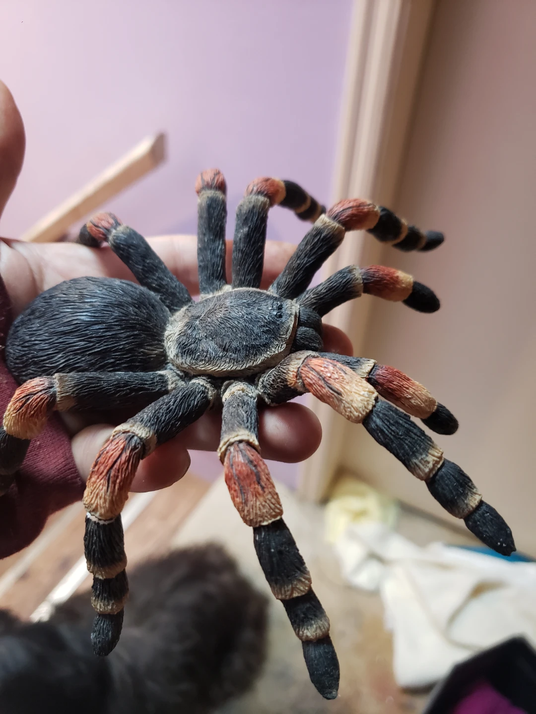 Realistic Tarantula