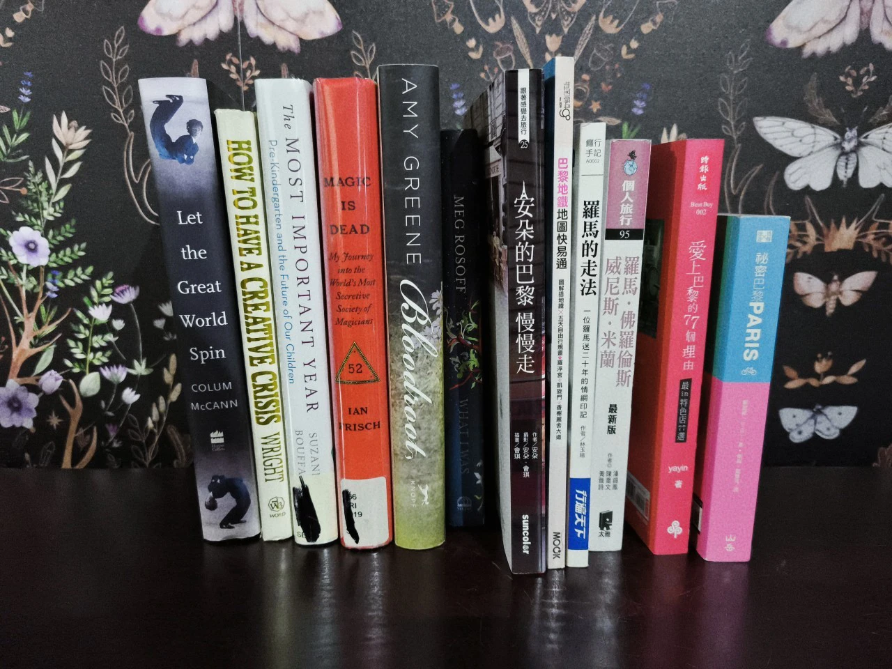 Collection of Travel and General Interest Books