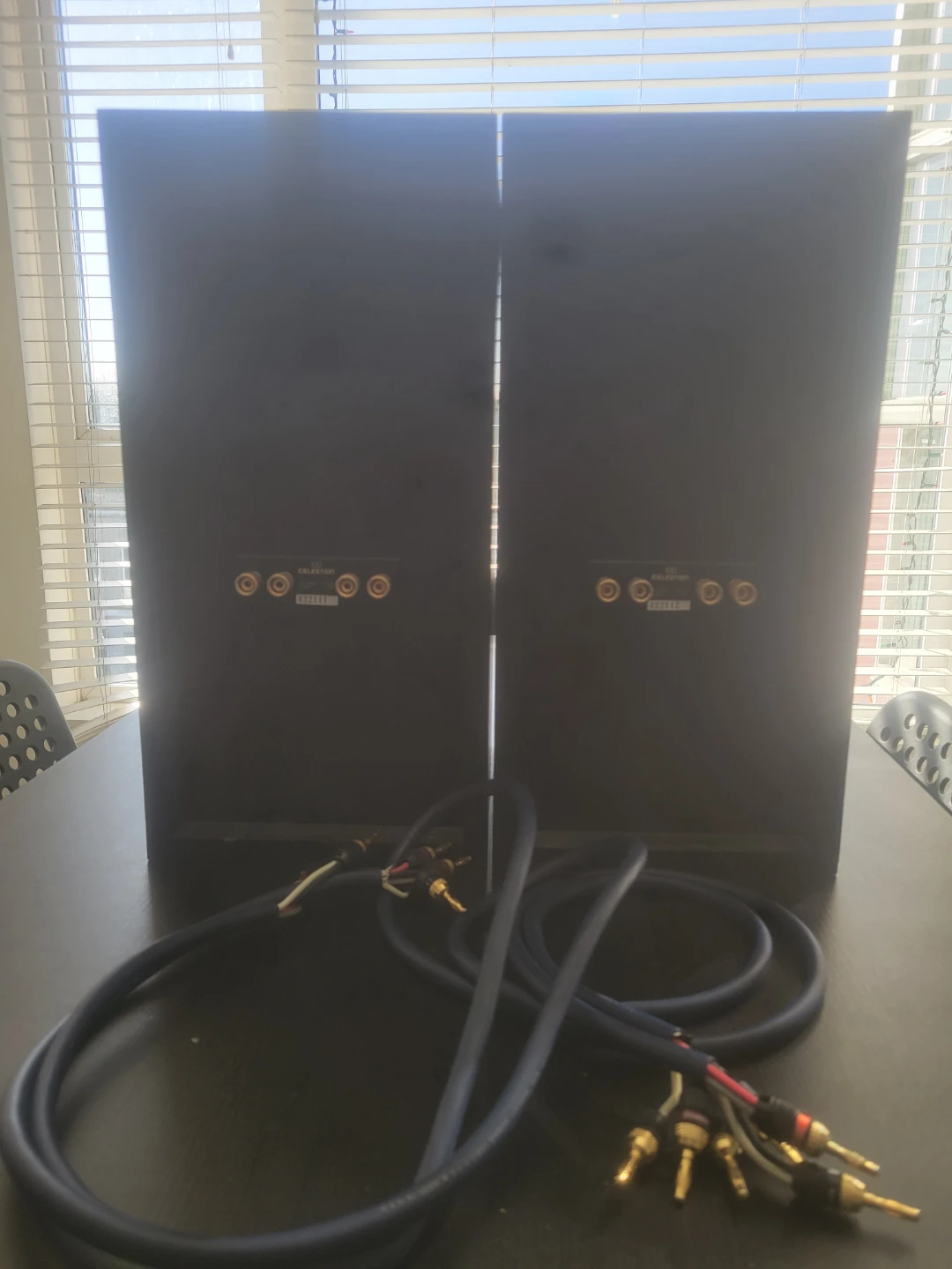 Celestion Speakers - photo 3