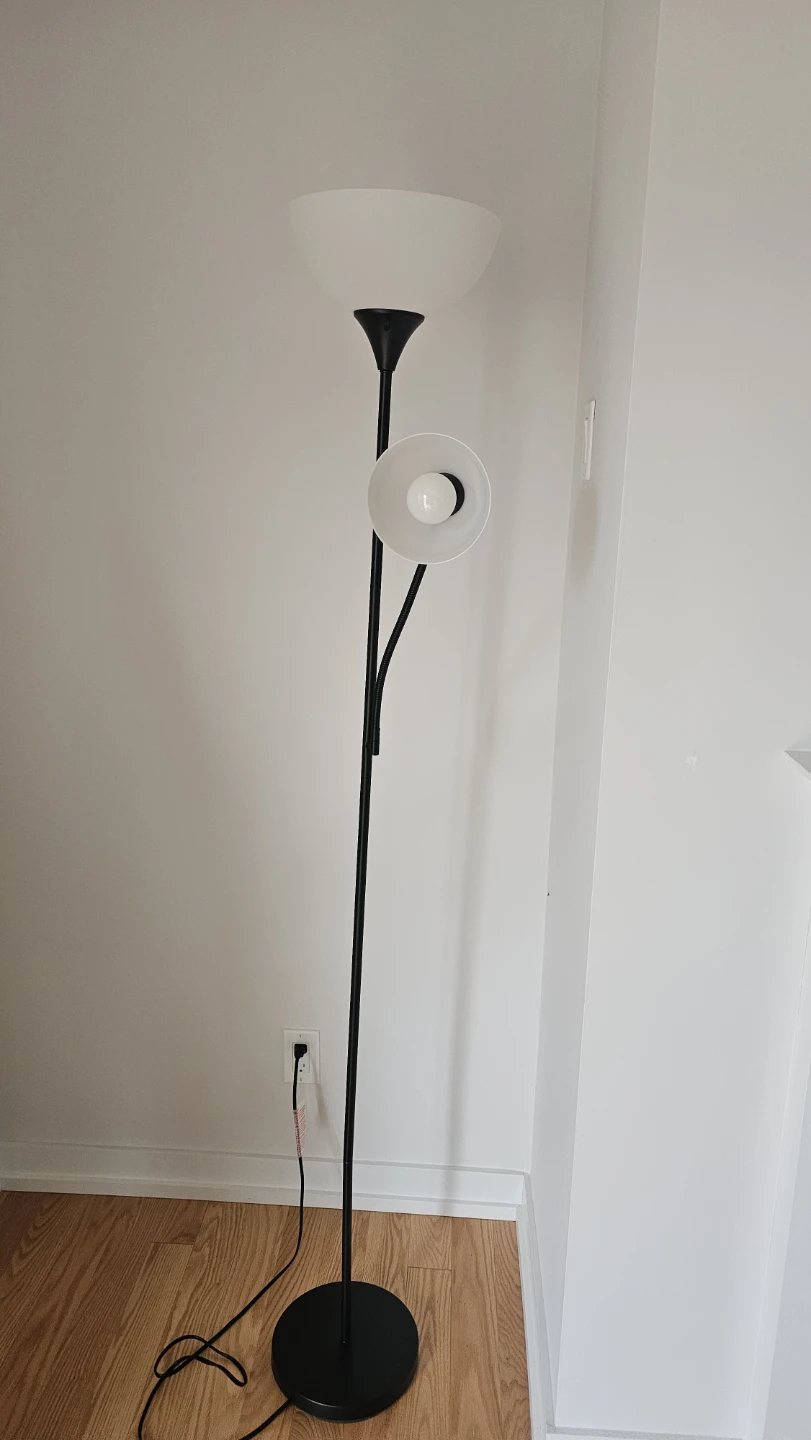Black 2-Head Floor Lamp