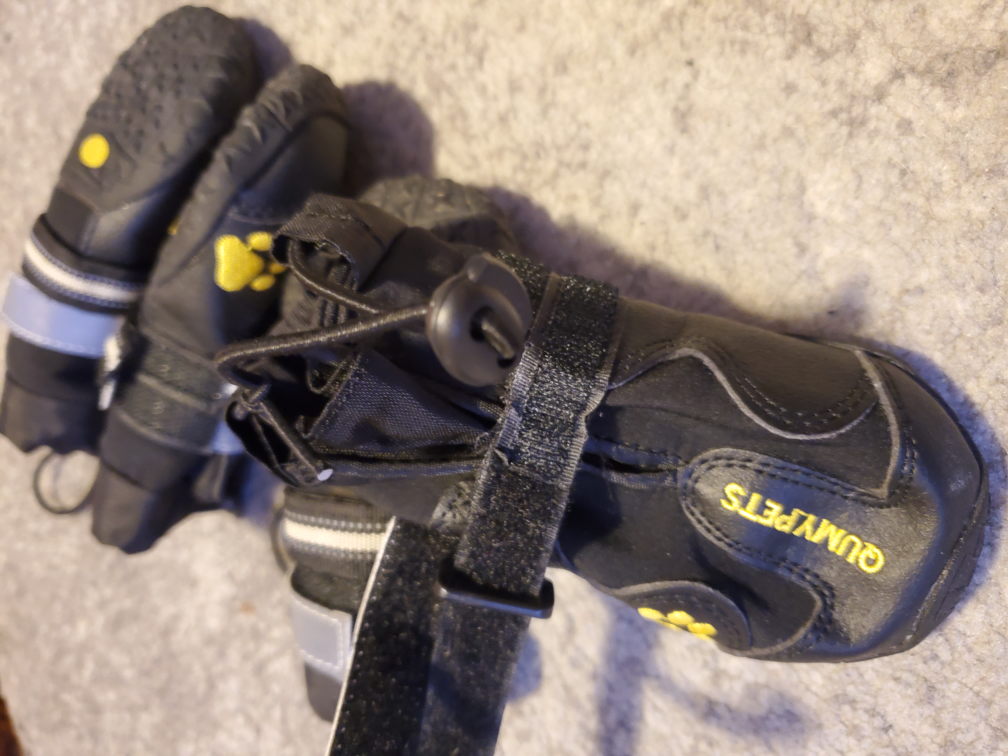 QUMYPETS Black Dog Boots medium - adjustable straps - photo 5