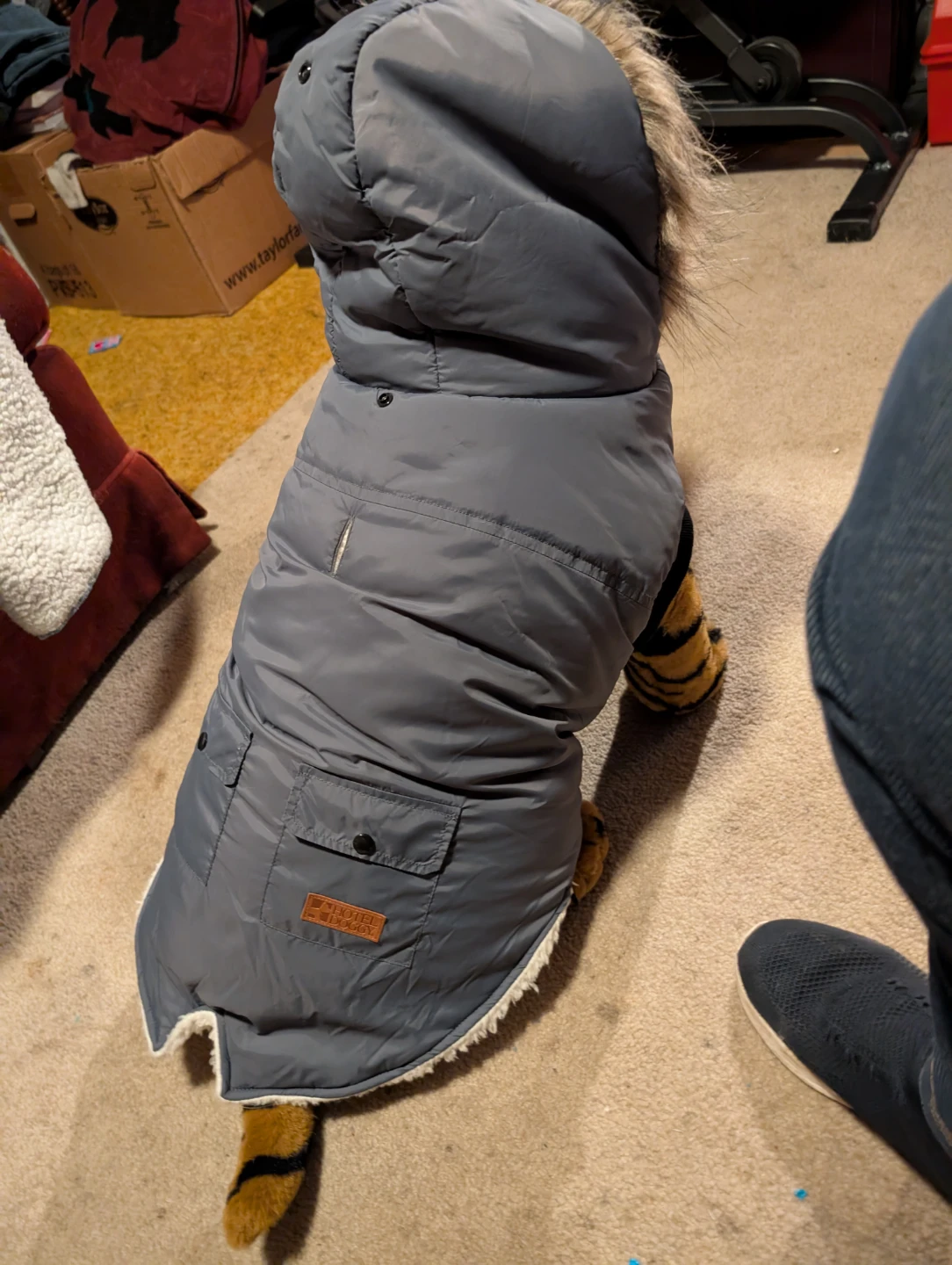 Hotel Doggy Dog Winter Coat - XL/TG - photo 4