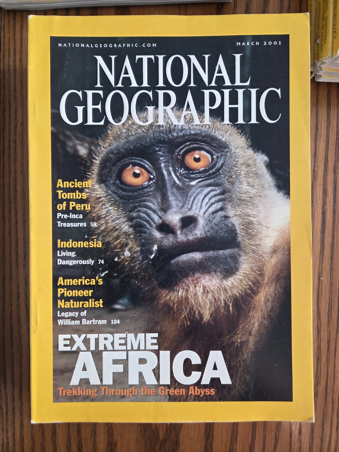 National Geographic Issues - photo 5