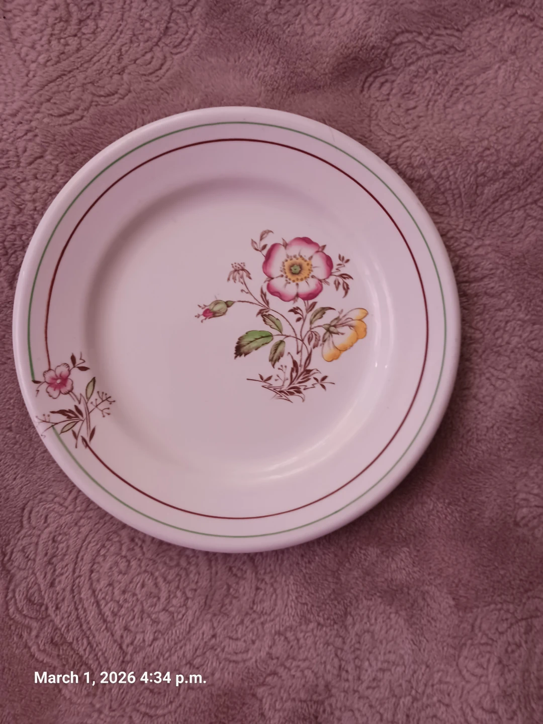 John Maddock & Sons "Fairy Rose" Vitrified Plate - photo 2