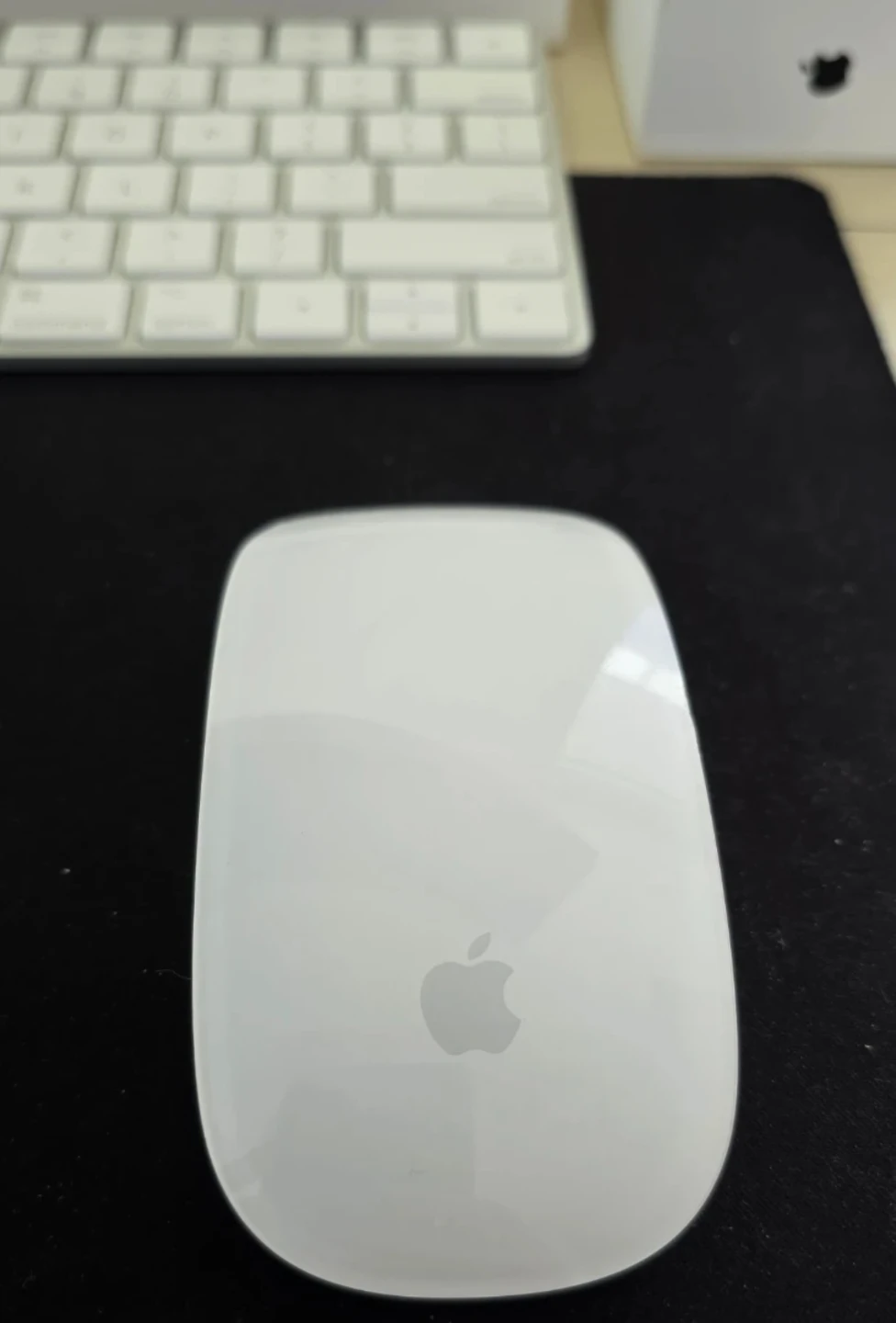 Apple Magic Mouse