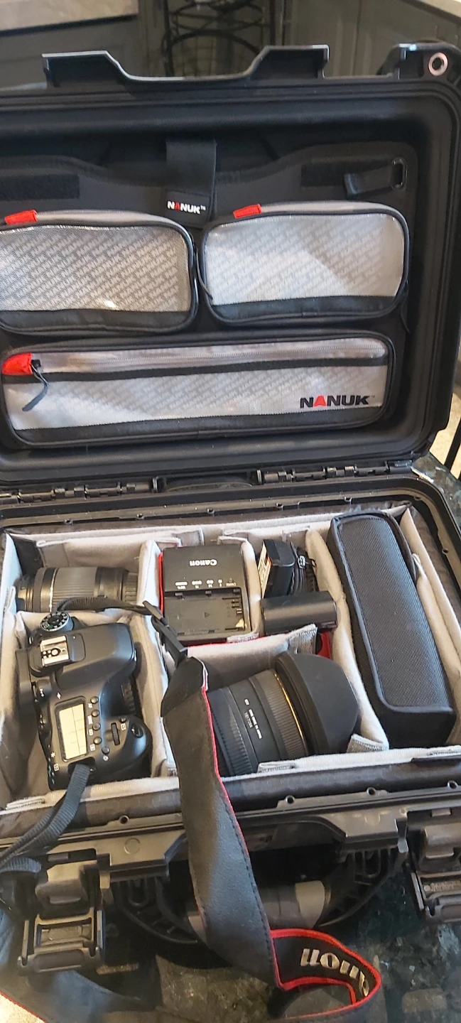 Canon EOS 80D professional with the kit