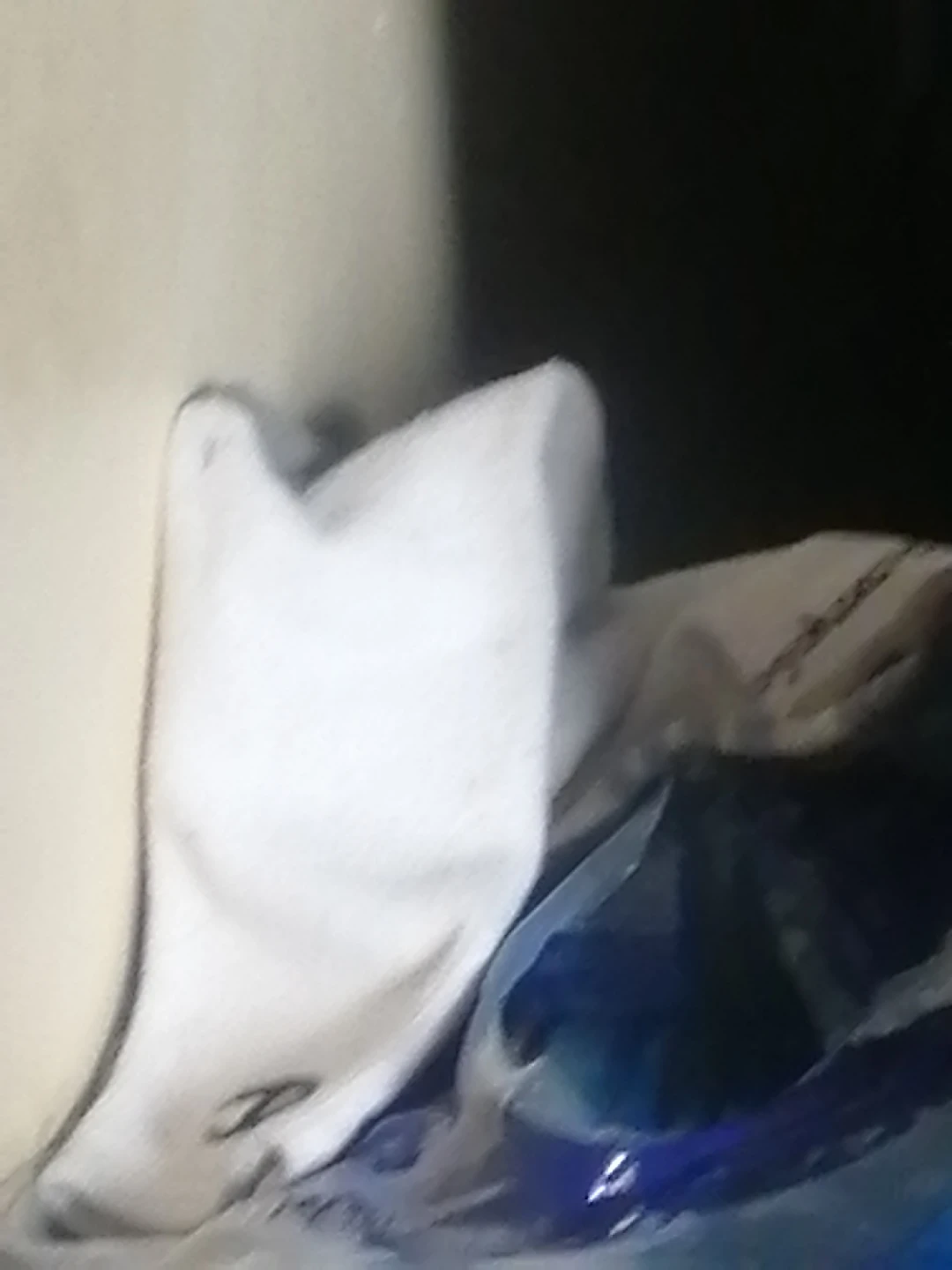 White athletic socks
