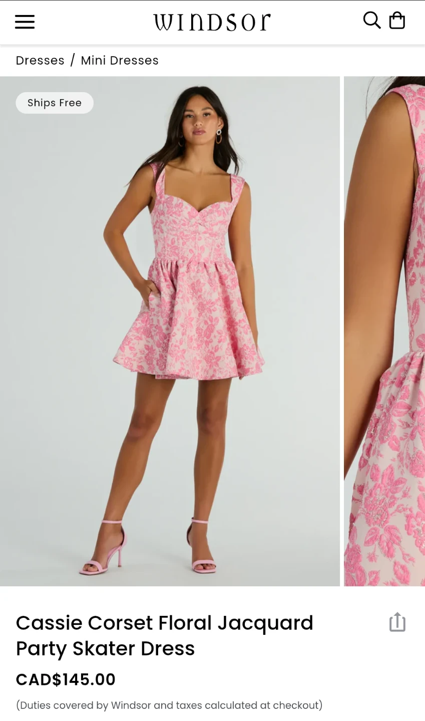 Windsor Cassie Corset Floral Jacquard Skater Dress - S/M - photo 5