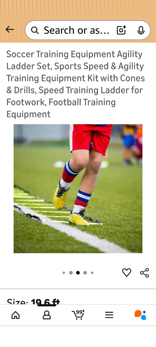Mantra Sports Agility Ladder Training Set - photo 2