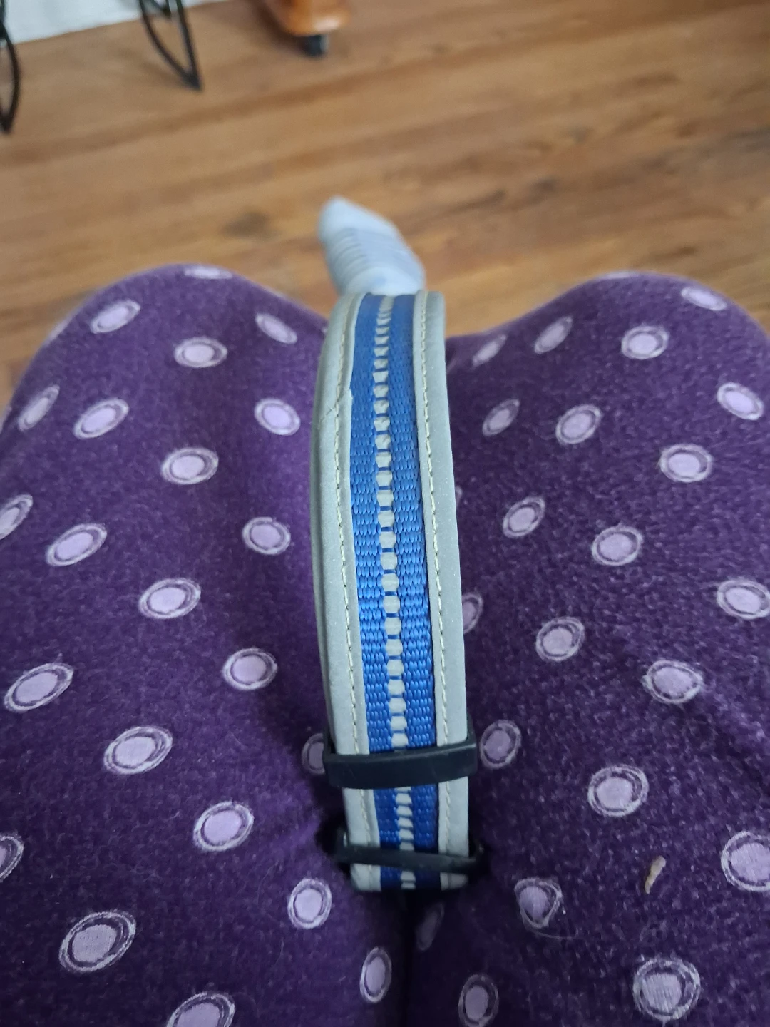 Dog Collar - photo 2