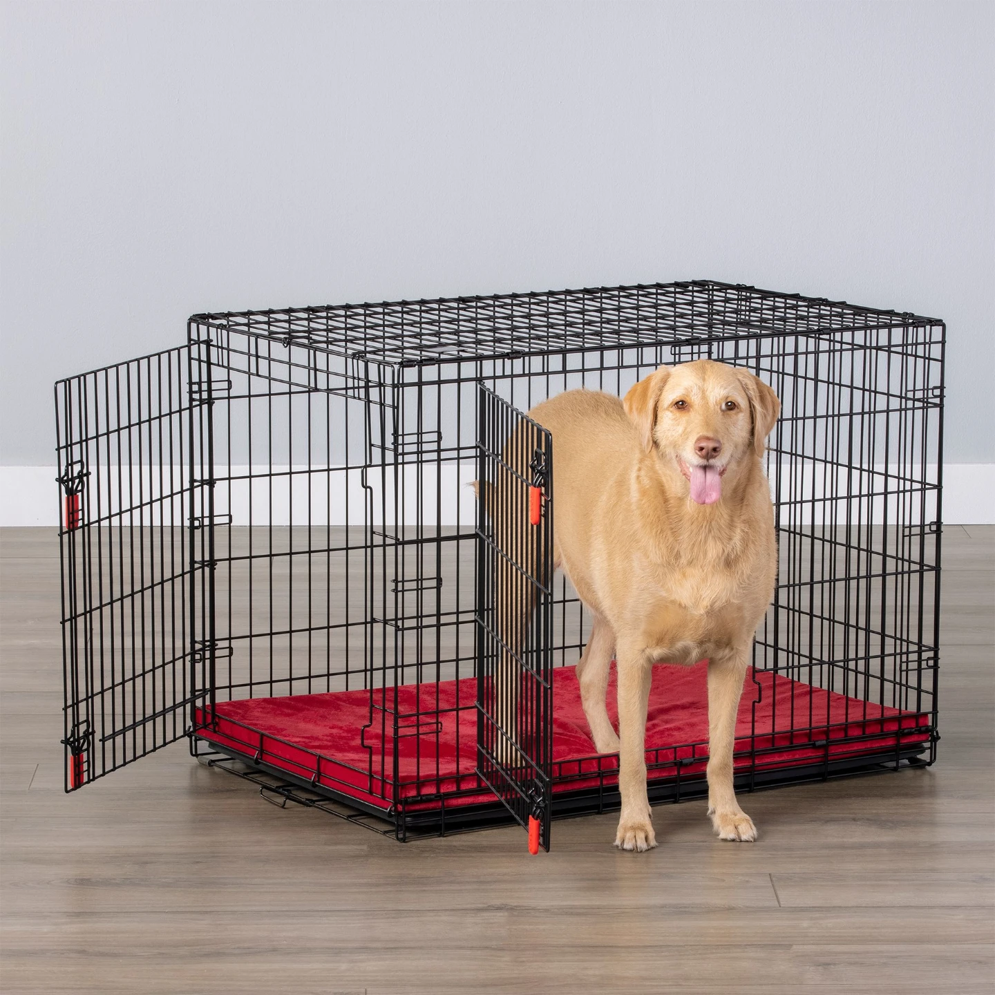 Wire Dog Crate (36"L x 23"W x 25"H)
