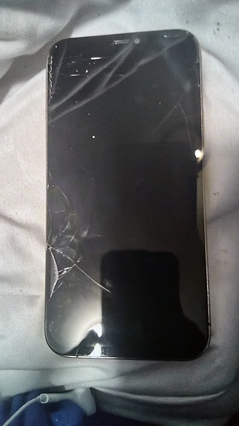 Apple iPhone 12 Pro Max - Cracked Screen