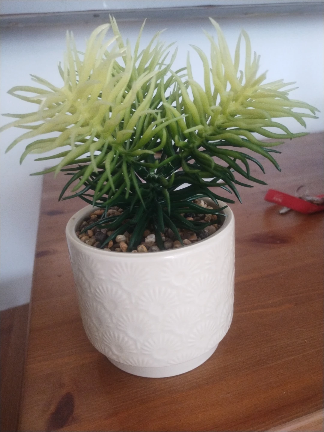 Artificial Succulent Plant in Embossed Pot