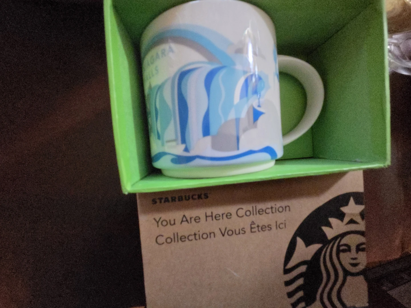 Starbucks Niagara Falls Mug