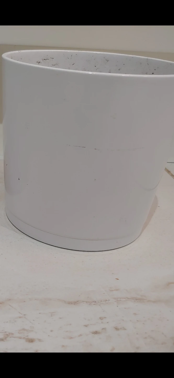 Set of 2 White Alaska Weiss Plant Pots 🥕 - photo 4