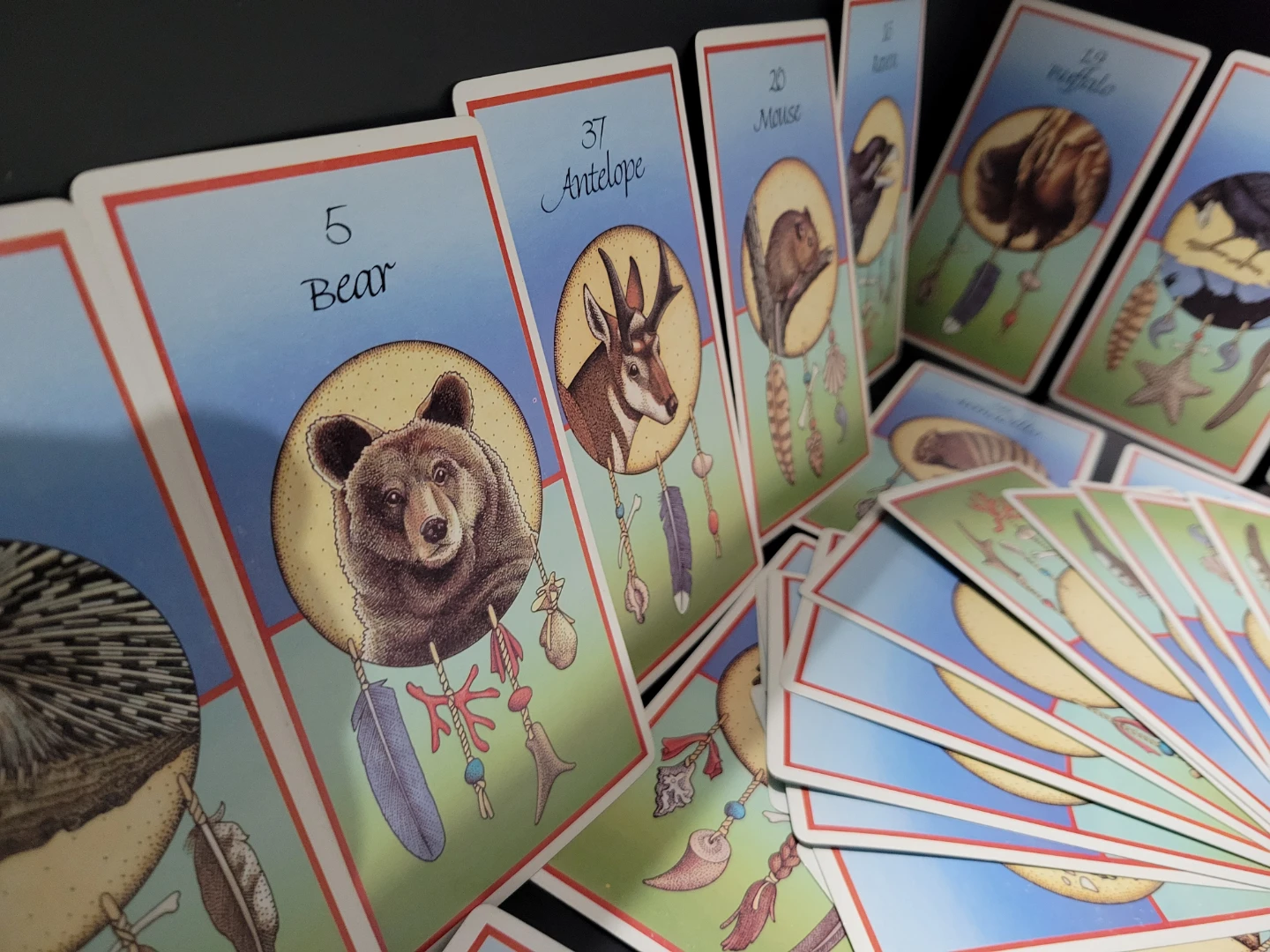 ​Vintage Medicine Cards Oracle Deck by Jamie Sams & David Carson - photo 5