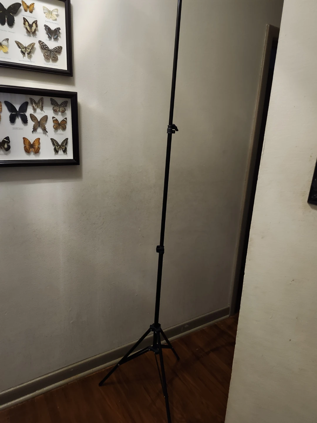 Very tall Adjustable Light Camera Tripod extend to 7 ft - photo 3