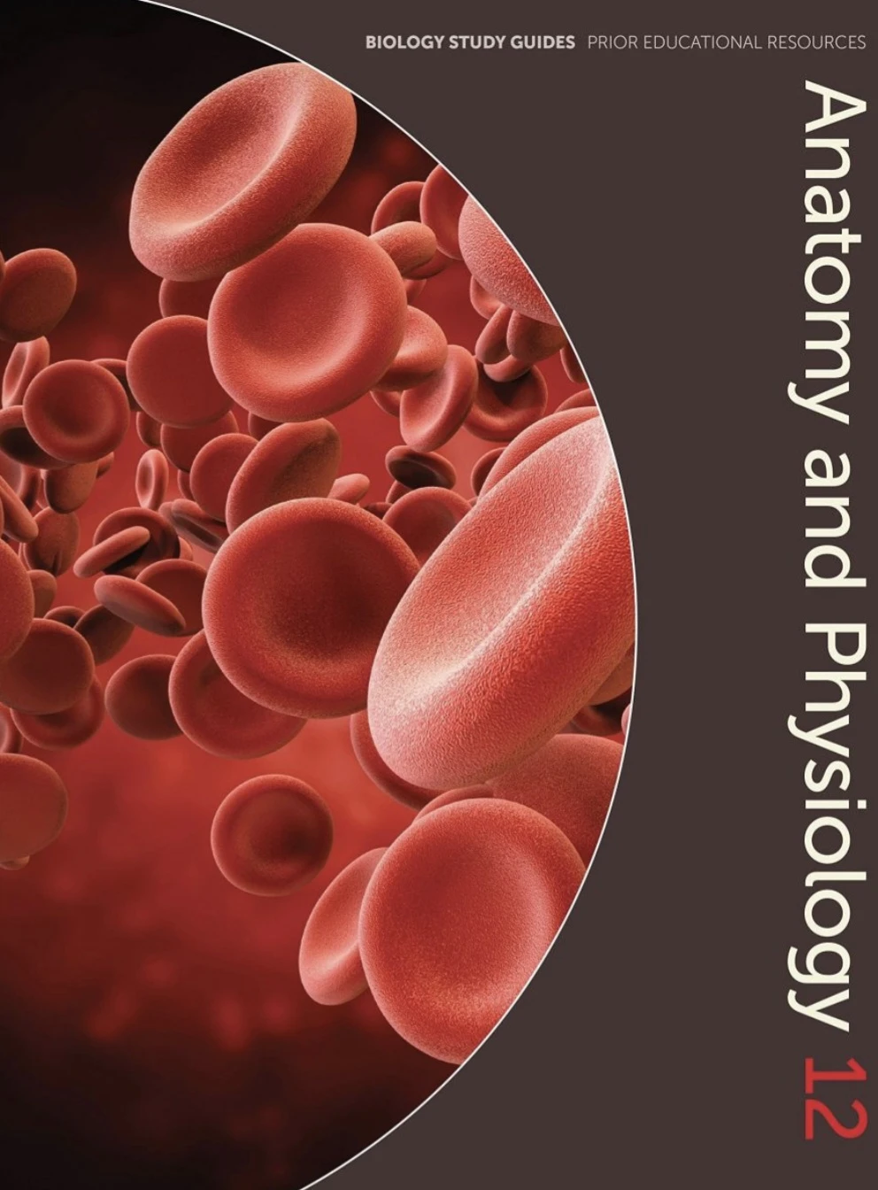 Anatomy and Physiology 12 Biology